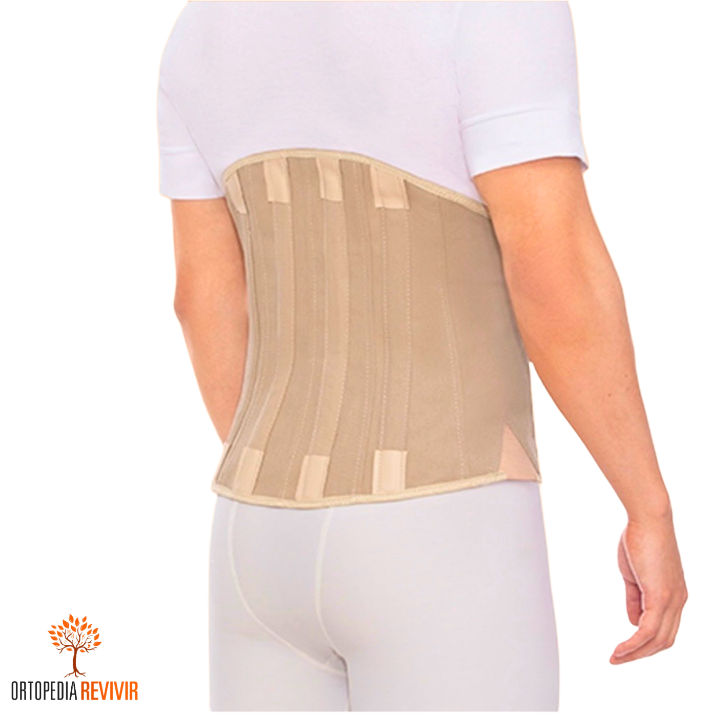 Corset ortopédico dorso lumbar ballenado - Imagen 2