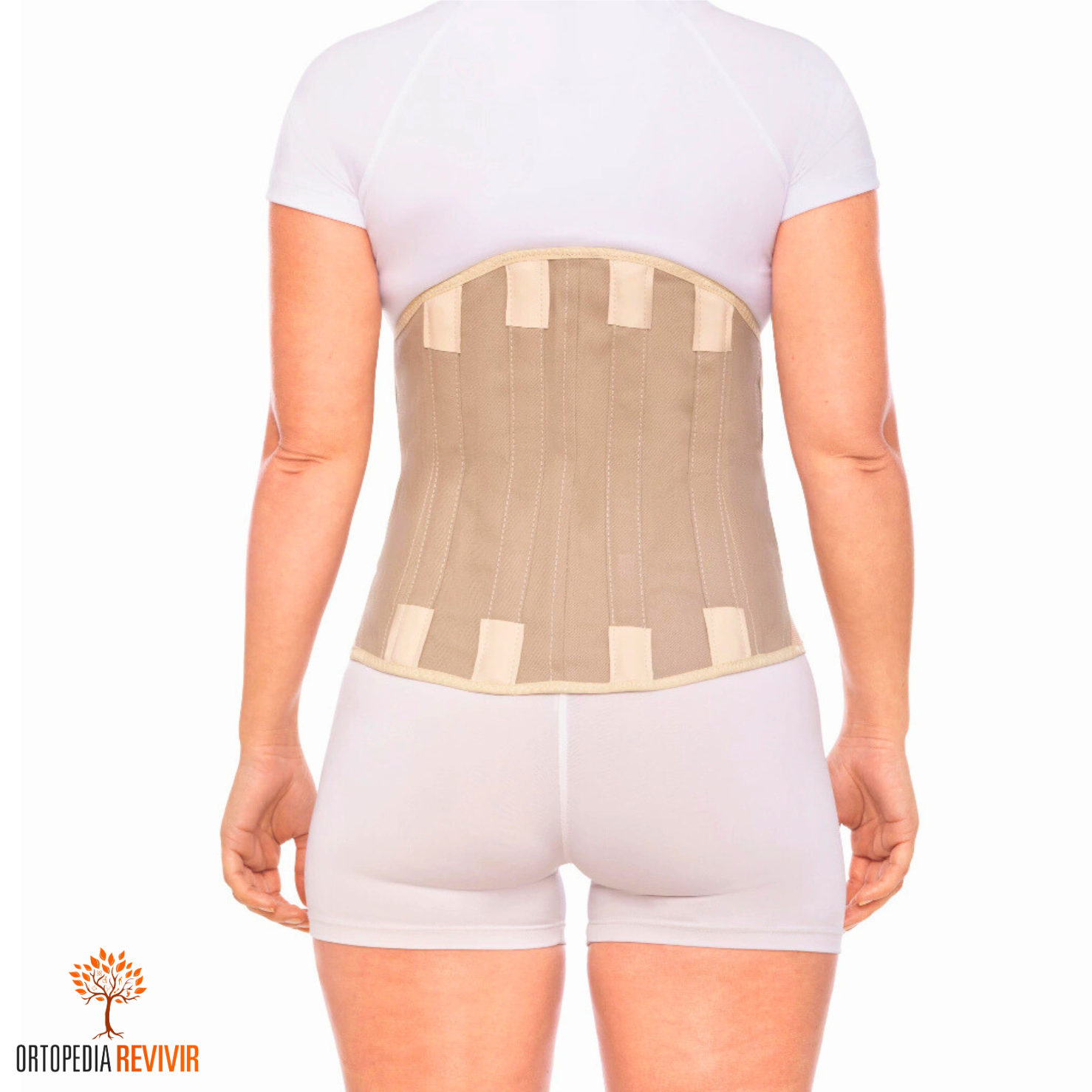 Corset ortopédico dorso lumbar ballenado - Imagen 3