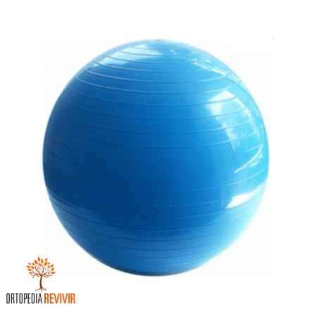 Pelota inflable para ejercicio 95cm